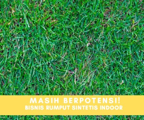 Potensi Besar Dibalik Bisnis Rumput Sintesis Indoor