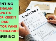 Mengenal Apa Itu Skor Kredit Dan Faktor-Faktor Yang Mempengaruhinya