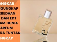 Perbedaan EDP Dan EDT